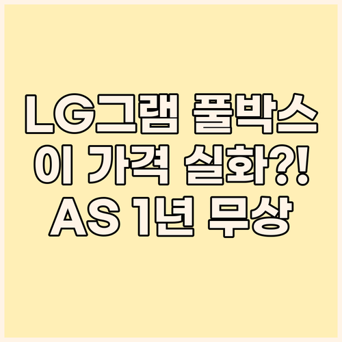LG 그램 풀박스 패키지, 이 가격 ..