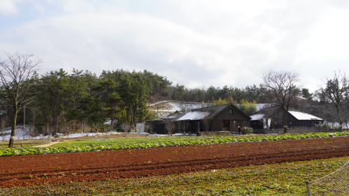전북 고창 가볼만한 곳 상하농원 파머스 빌리지 수영장 할인정보