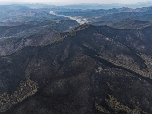 최근 경상도 북부에서 발생한 대규모 산불의 개요와 피해 규모를 소개하고, 부동산 시장, 보험 산업, 관광 산업에 미친 영향을 분석한 후, 경제적 피해를 최소화하기 위한 정책적 제안과 지역 사회의 대응 방안을 제시하겠습니다.​