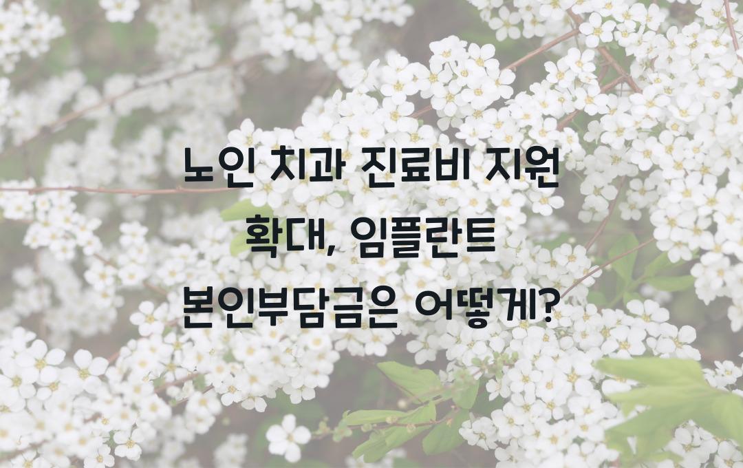 노인 치과 진료비 지원 확대, 틀니·임플란트 본인부담금 인하 혜택