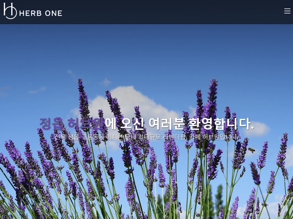 정읍 허브원 라벤더 축제