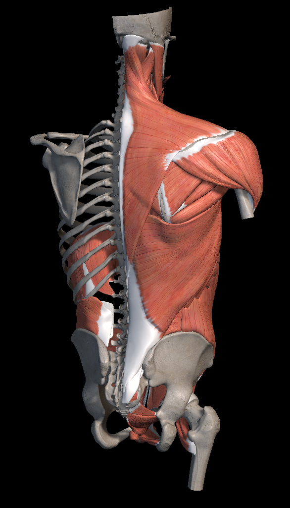 근육통 빨리 푸는법