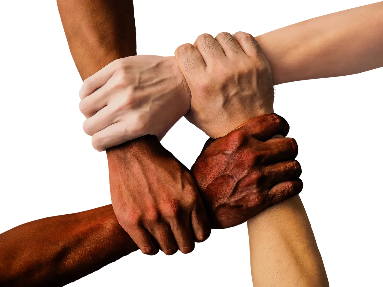 블루터치-마음터치 서울시민의 마음건강과 셀프케어 프로그램 안내