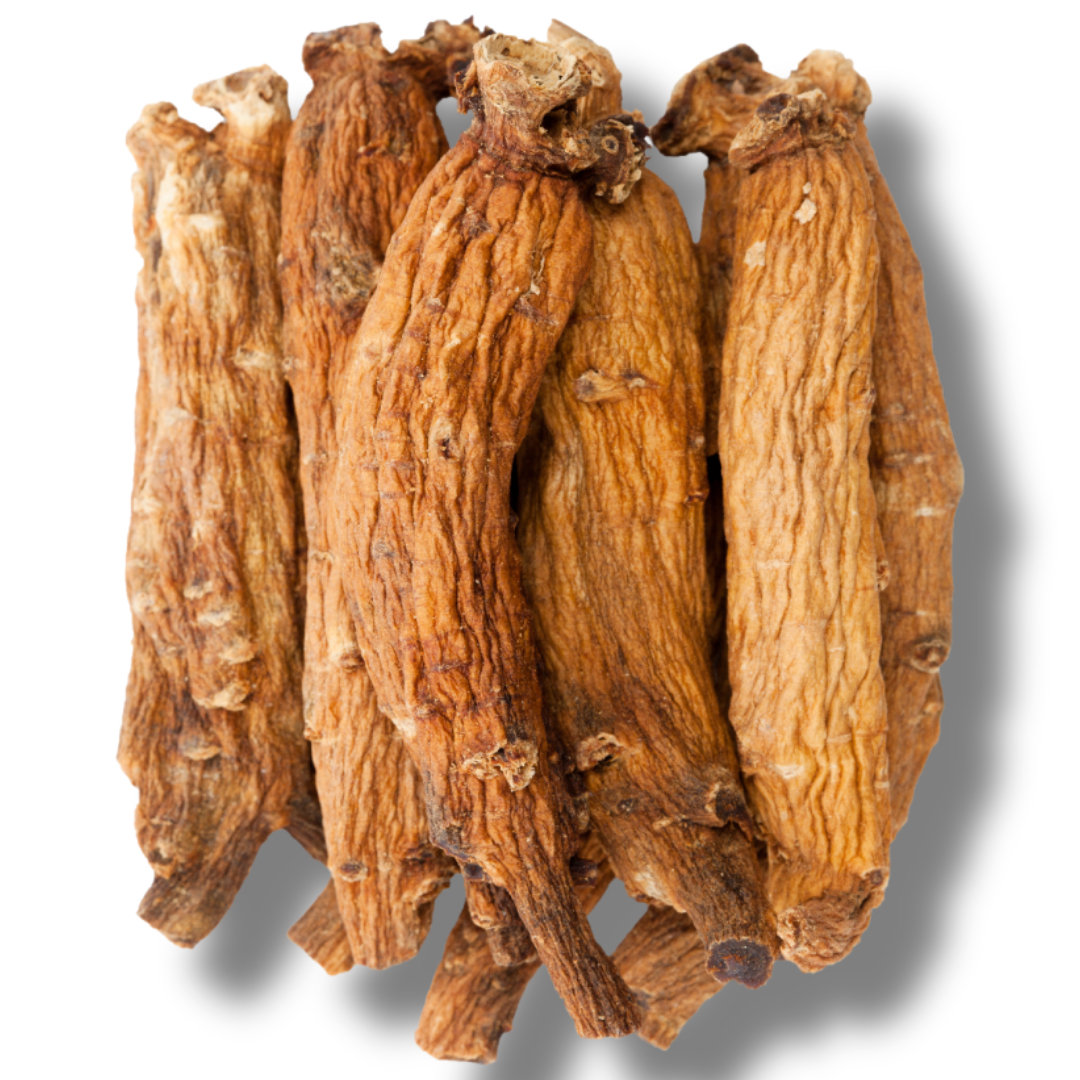 차가버섯과 관련된 사진입니다.