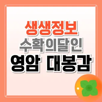 생생정보 수확 달인 미사리 커피농장 소개_17