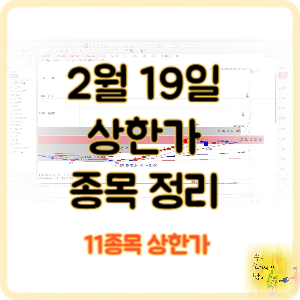 오늘의 상한가 종목