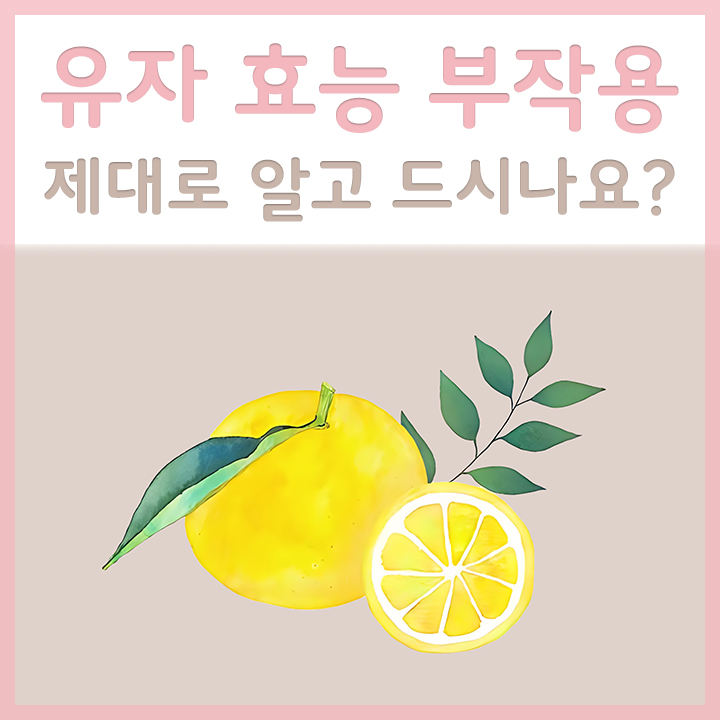 유자