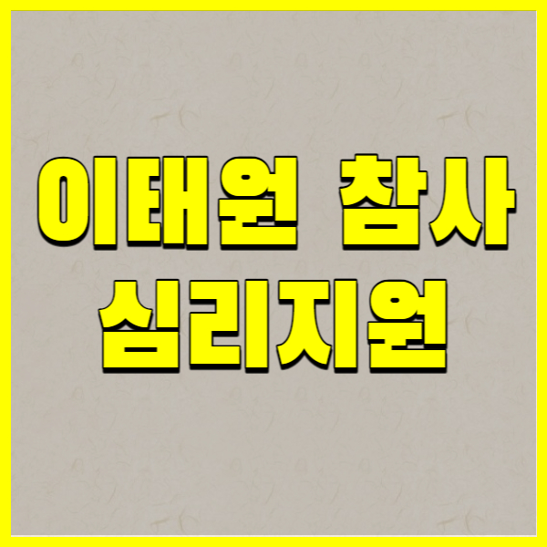 이태원 참사 심리지원