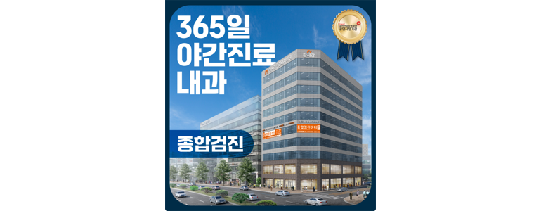 대전 서구 내과