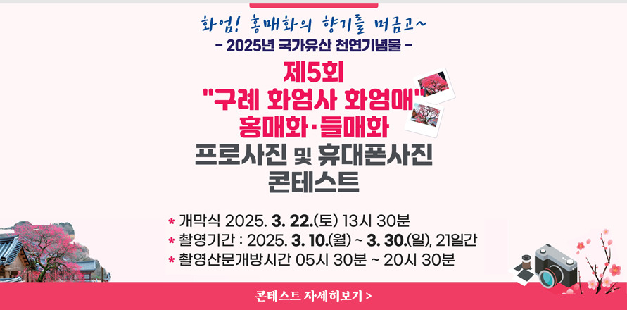 사진 콘테스트
