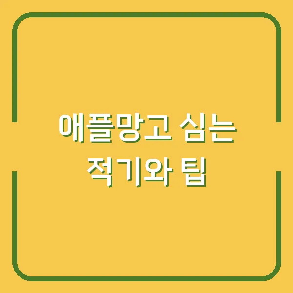 애플망고 심는 적기와 팁