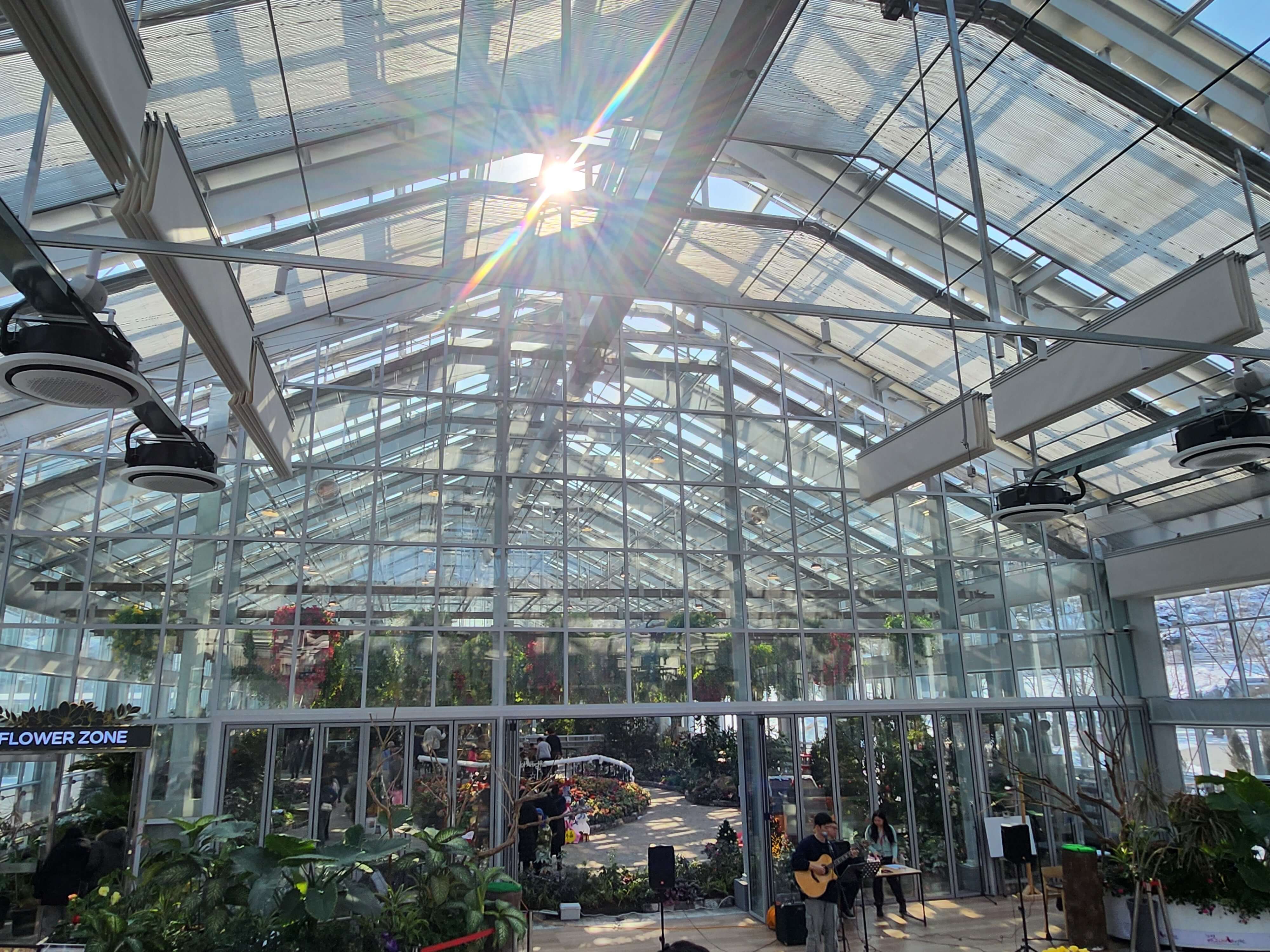 가평 베고니아 정원