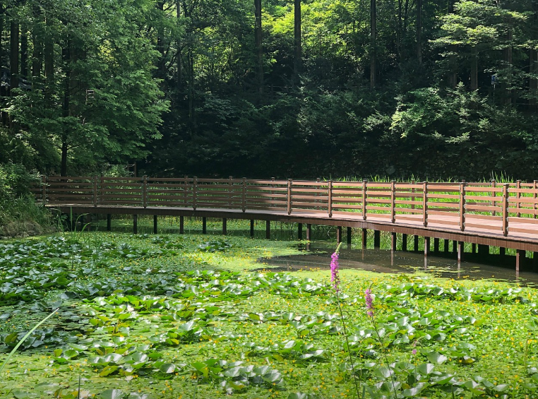 장태산자연휴양림3