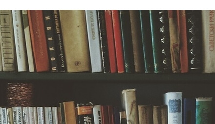 먼지다듬이 벌레