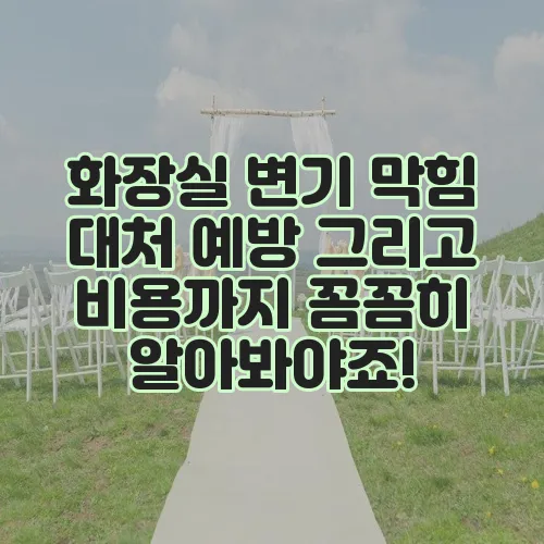 화장실 변기 막힘 대처 예방 그리고 비용까지 꼼꼼히 알아봐야죠!