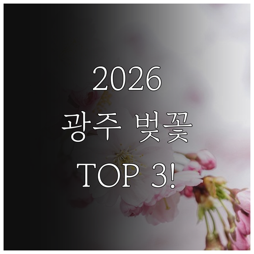 2026 광주 벚꽃 개화일 확인 및 ..