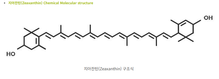 루테인 지아잔틴의 차이점과 효능 및 부작용 그리고 일일 권장 섭취량