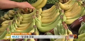 바나나물 효능 원리 부작용_14