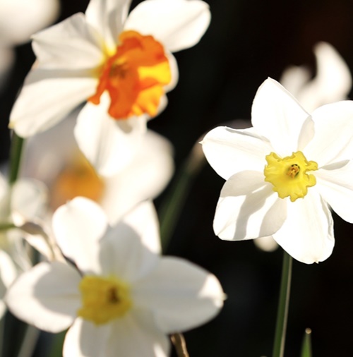 태안 가볼만한곳