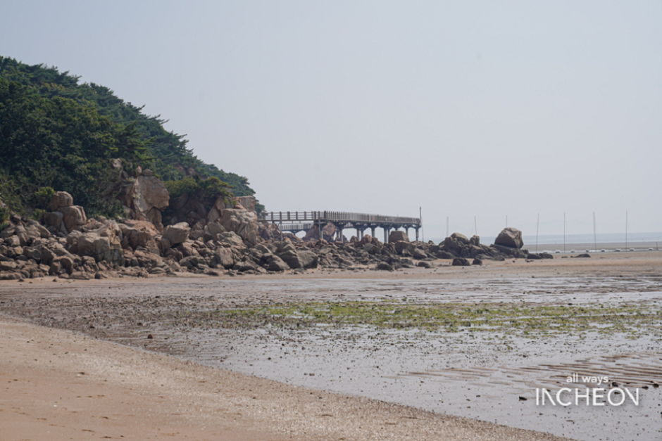 인천 무의도 해상관광탐방로! 애견 동반 가능한 트래킹 코스 추천!