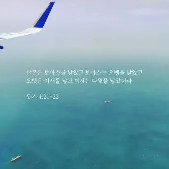 성경 룻기 4장 해설 보아스 룻 결혼 다윗 족보_7