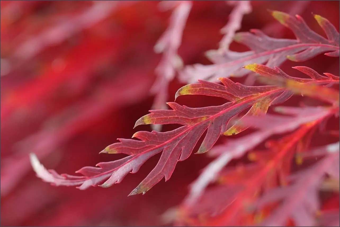 동네 한 바퀴 안동편