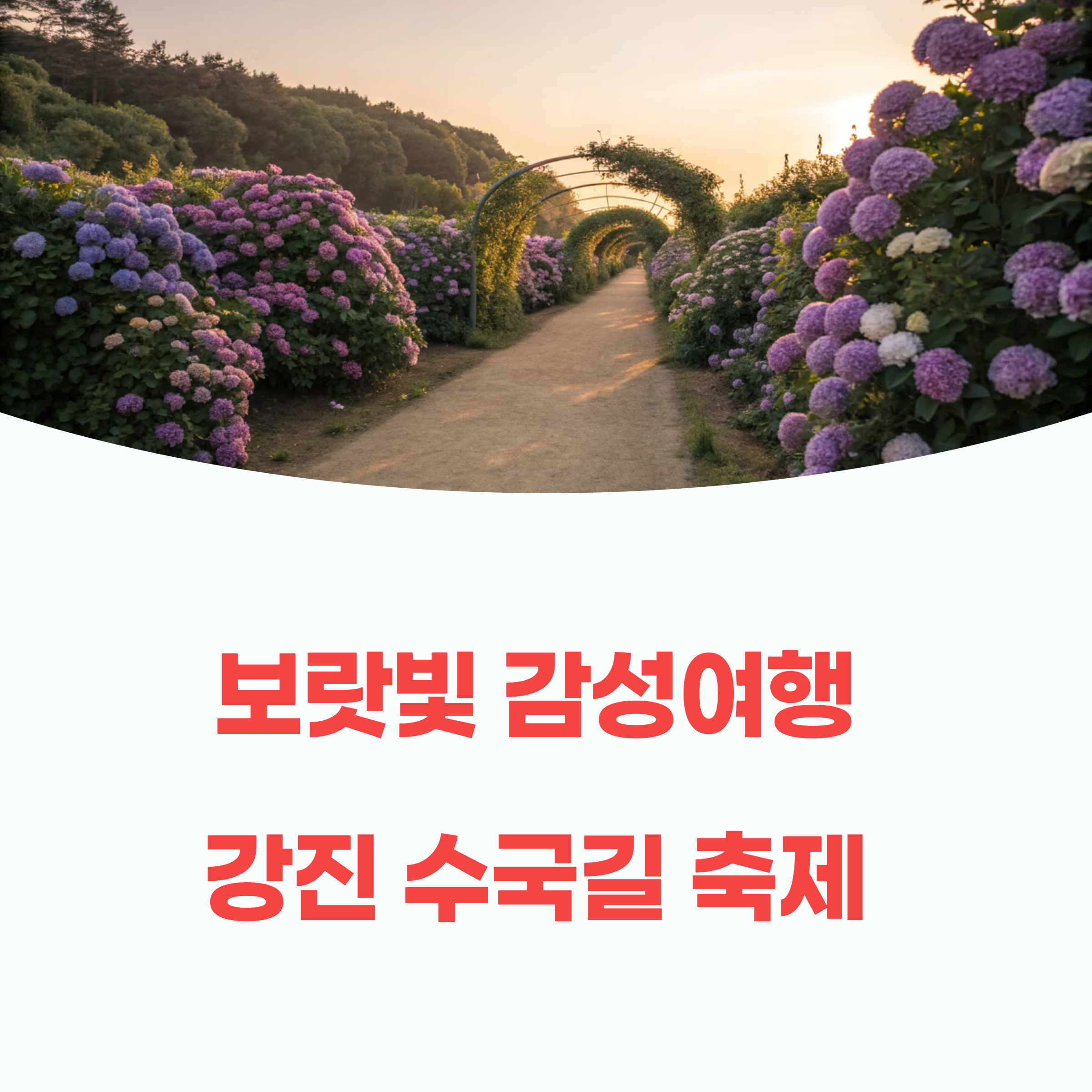 2025 강진 수국길 축제