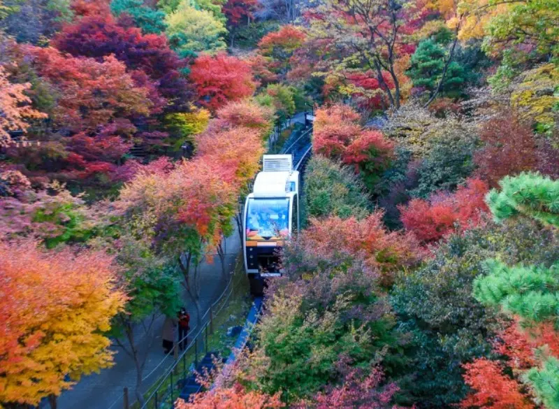 화담숲절경3