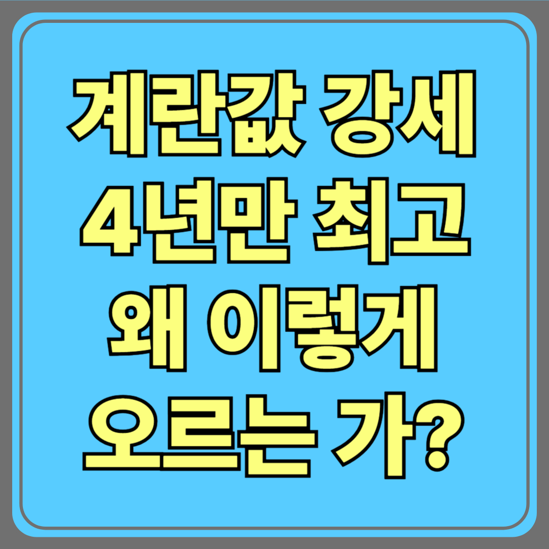 계란값 4년 만에 최고…농경연 “가격 강세 이어진다” 왜?