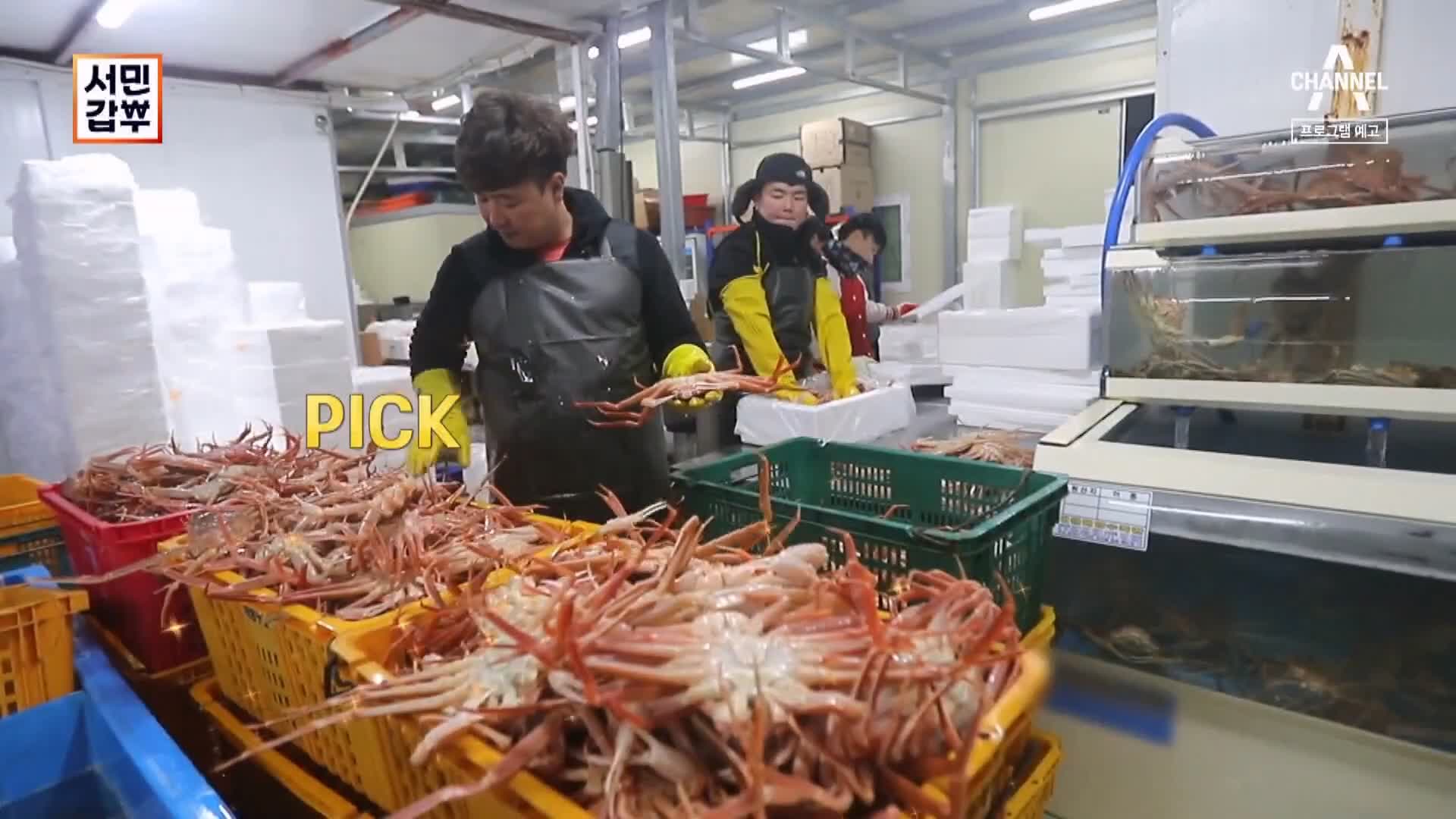 서민갑부 포항 생물 대게 전국 택배 배송 상위 1% 오디션 박달대게 파는 연 매출 30억 원 청년 장사꾼 갑부 방송 정보