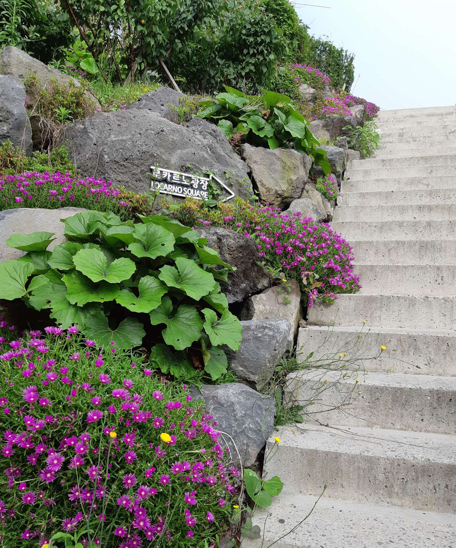 로카르노광장 올라가는 계단