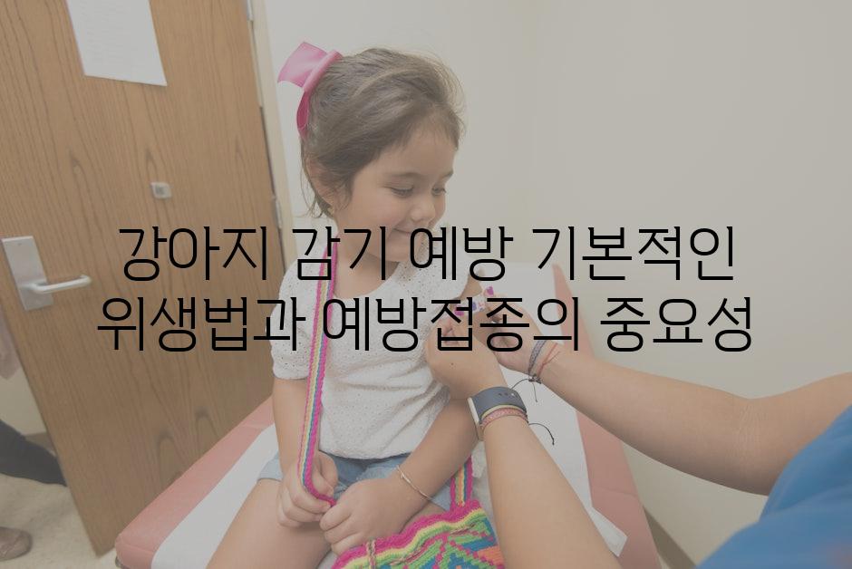 강아지 감기 예방 기본적인 위생법과 예방접종의 중요성