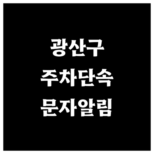 광산구 주정차단속 기준과 문자 알림 ..