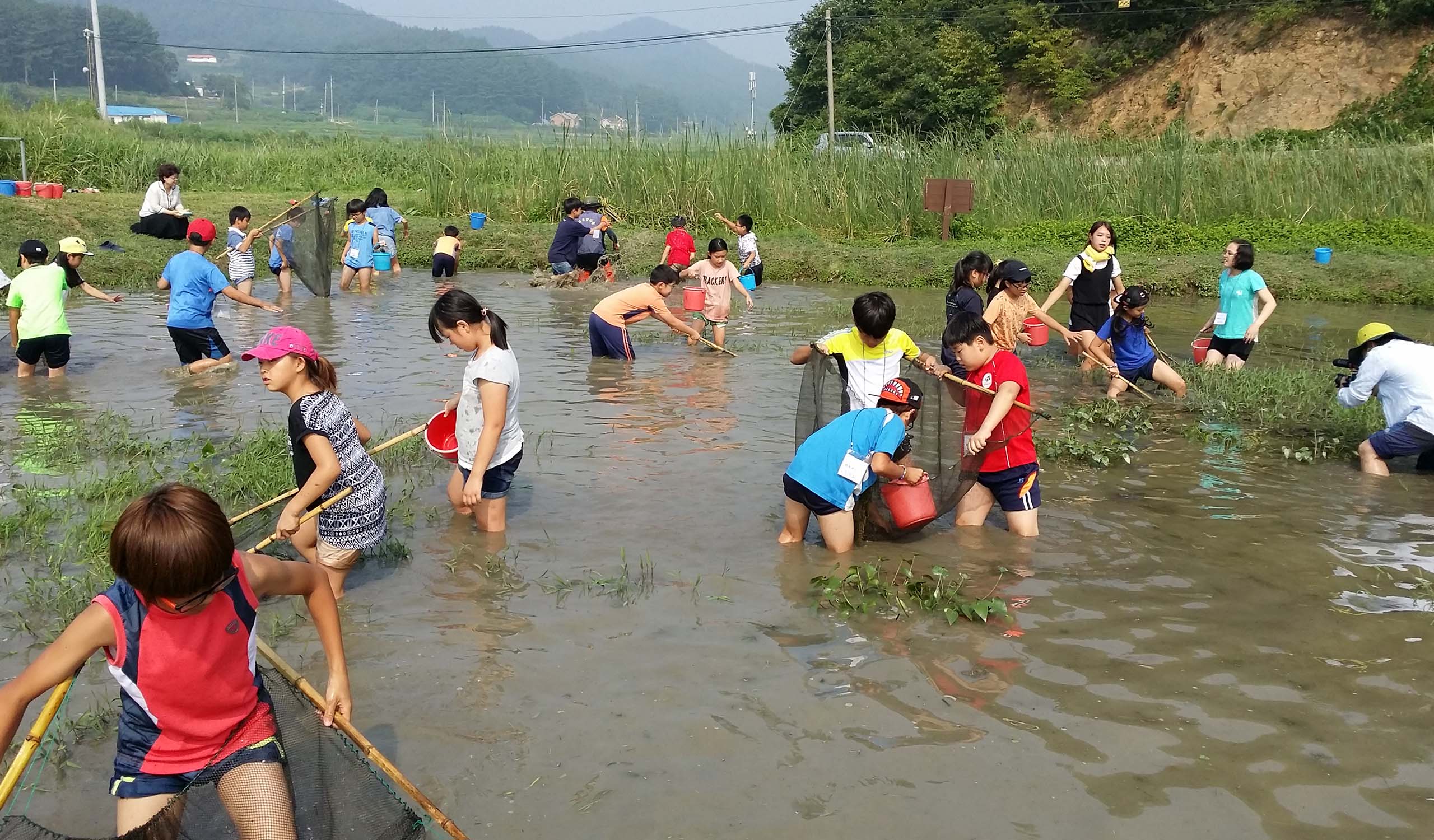 오감 캠핑로드 태안 둠벙 마을 오토 캠핑장, 생태 마을 농촌 갯벌 체험 여행 코스 가볼만한 곳 추천
