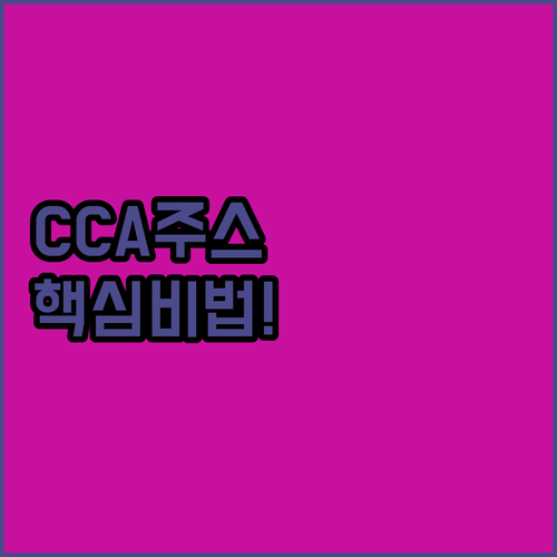 건강한 한 끼를 위한 CCA주스 퀘르..