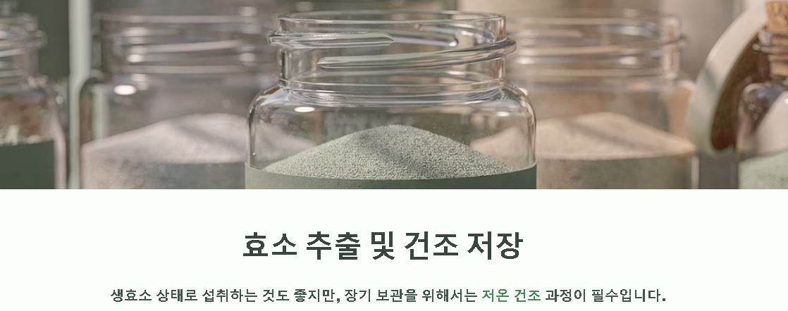 카무트 효소 만드는 법 단계별 가이드
