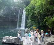 렌트카보다 획기적인!!! 제주 단체 여행법! 제주미니버스렌트업체 Top5 