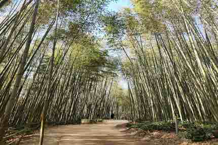 담양 가볼만한곳
