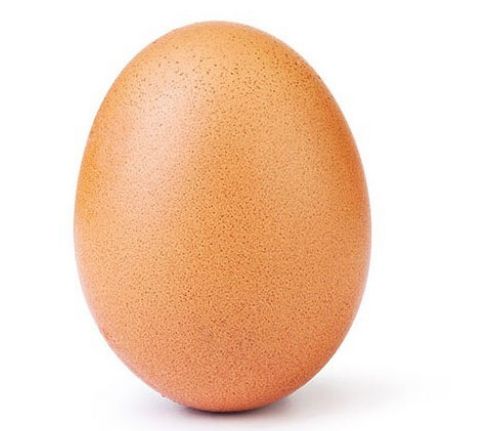 계란