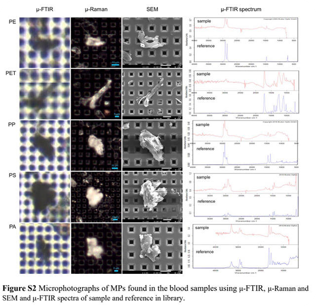 성인 혈액 미세플라스틱 검출