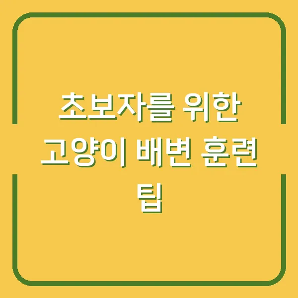 초보자를 위한 고양이 배변 훈련 팁