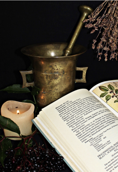 다이어트 보조제 성분