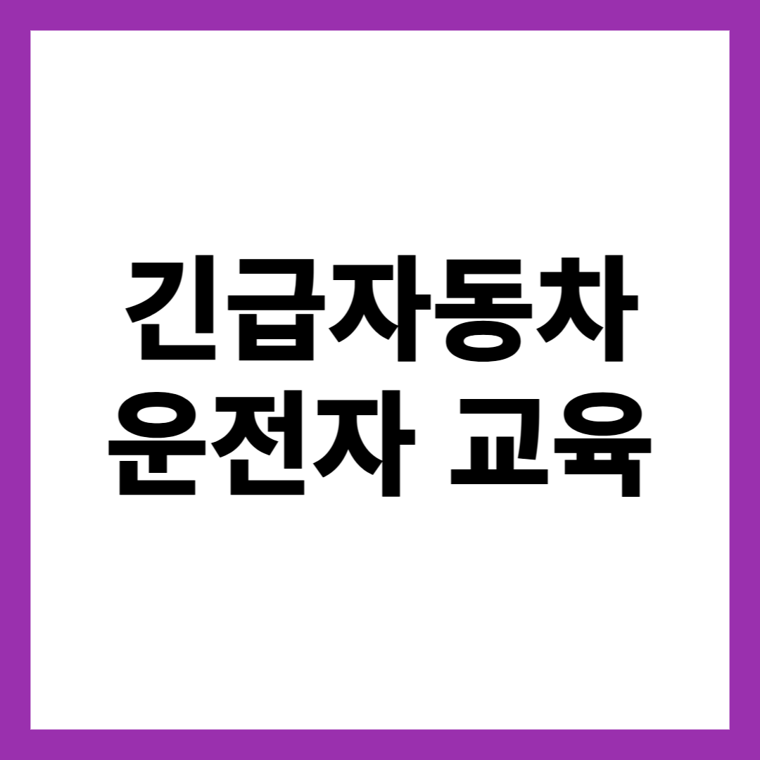 긴급자동차 운전자 교육
