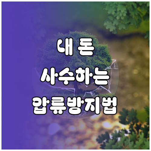 압류 금지 전용계좌 특징 및 1인 1..