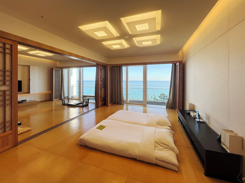 강릉 최고 5성급 오션뷰 호텔 예약 꿀팁