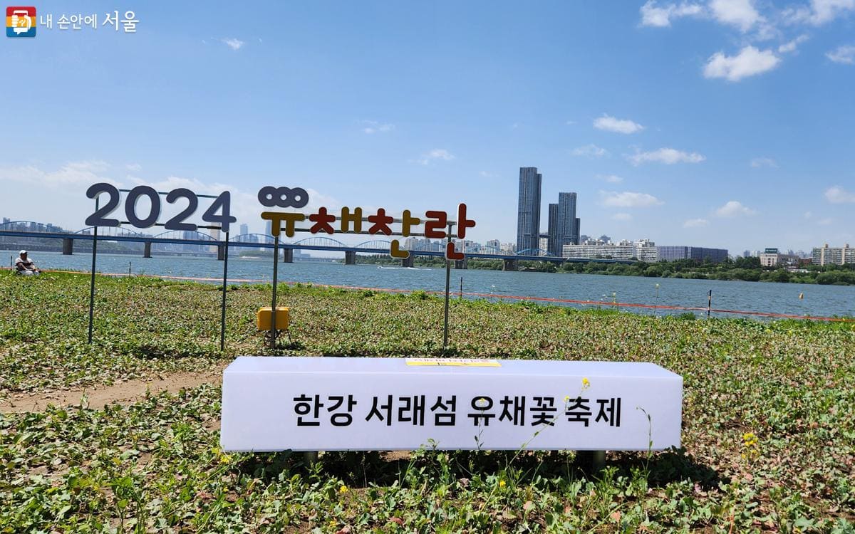 2024 한강 서래섬 유채꽃 축제 일정 정보&amp;#44; 장소 위치&amp;#44; 가는길&amp;#44; 놀거리