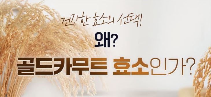 카무트-효소