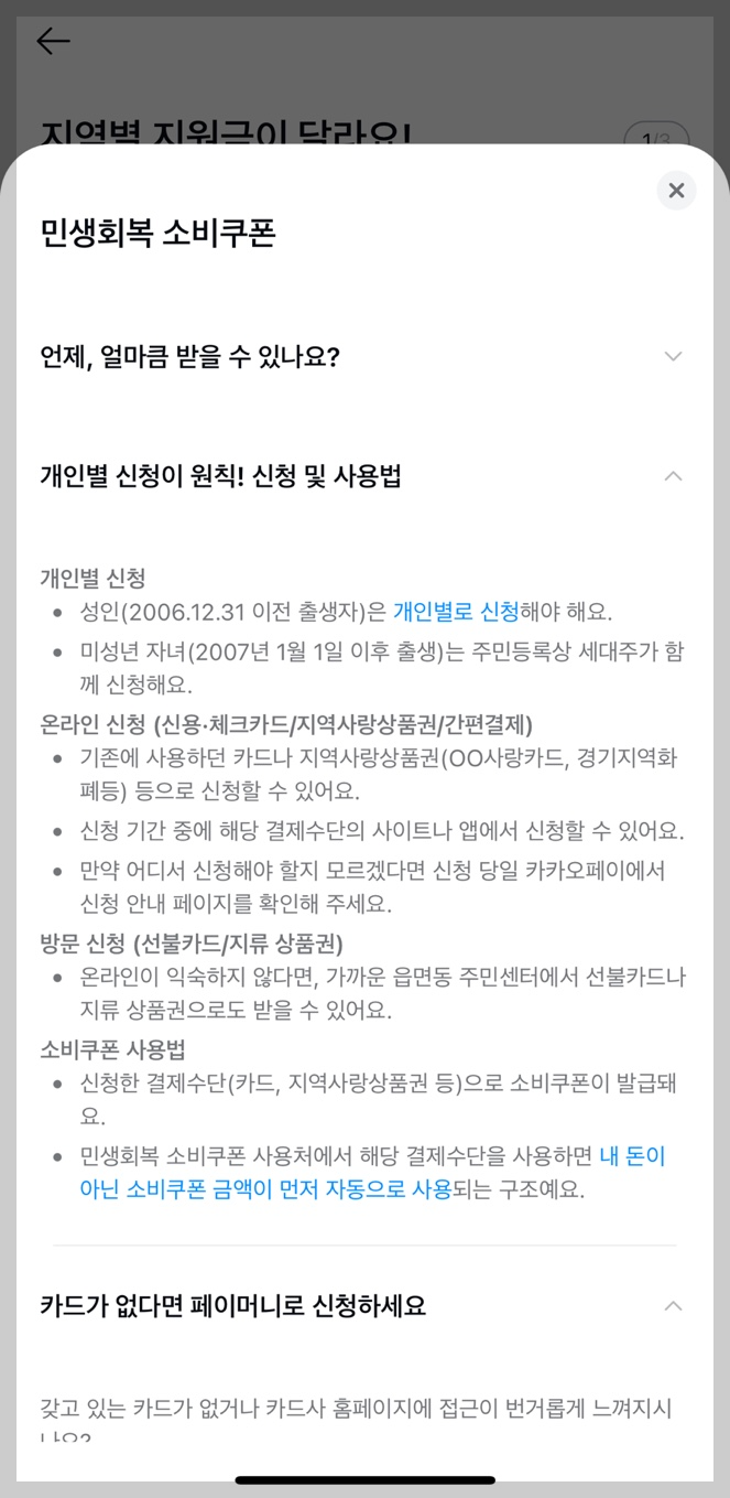 민생회복 소비쿠폰 카카오 페이 가이드 5