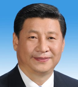 시진핑 뇌수술