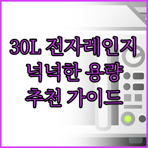 30L 전자레인지 추천 가이드 넉넉한..
